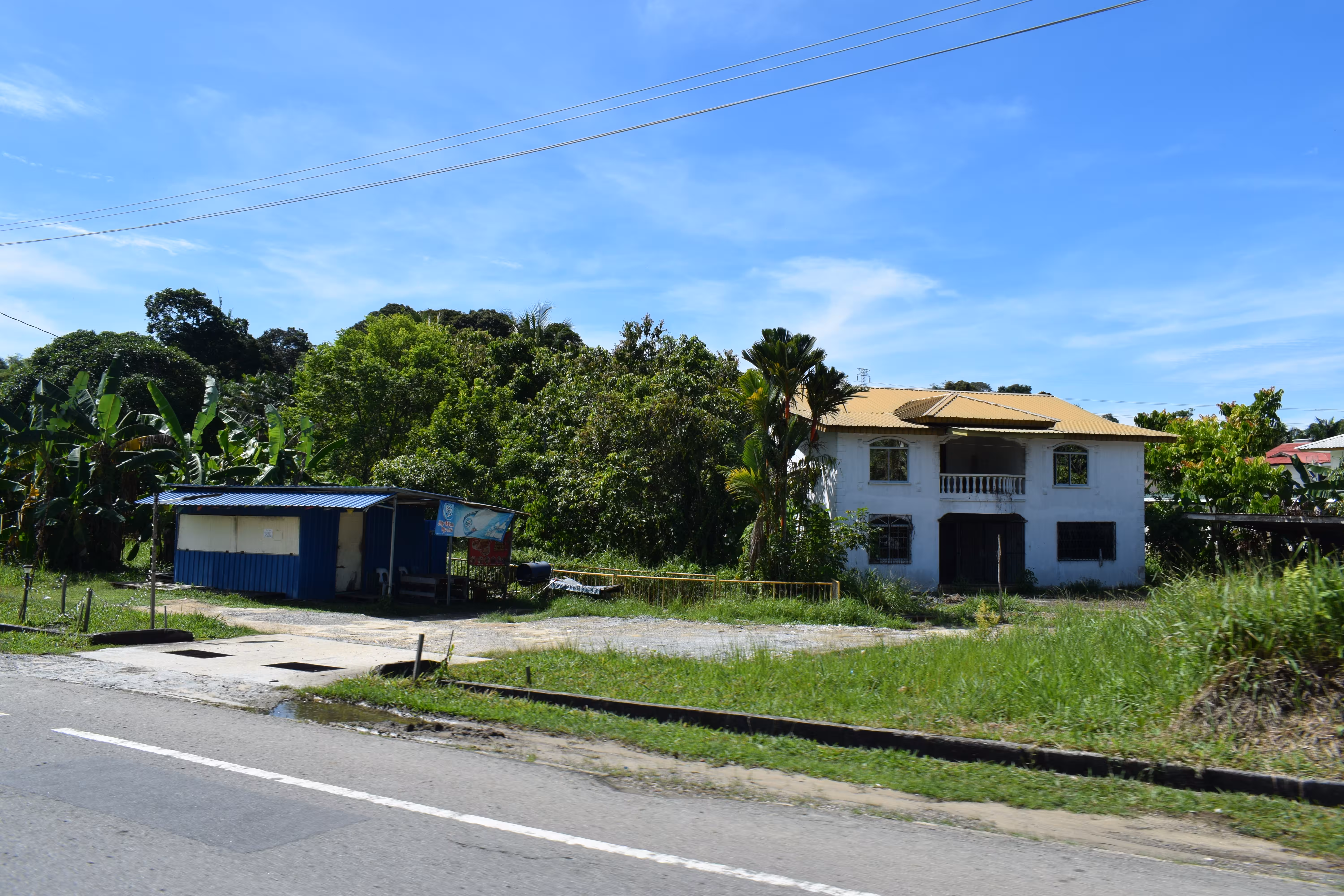 A couple of houses with trees in the background.