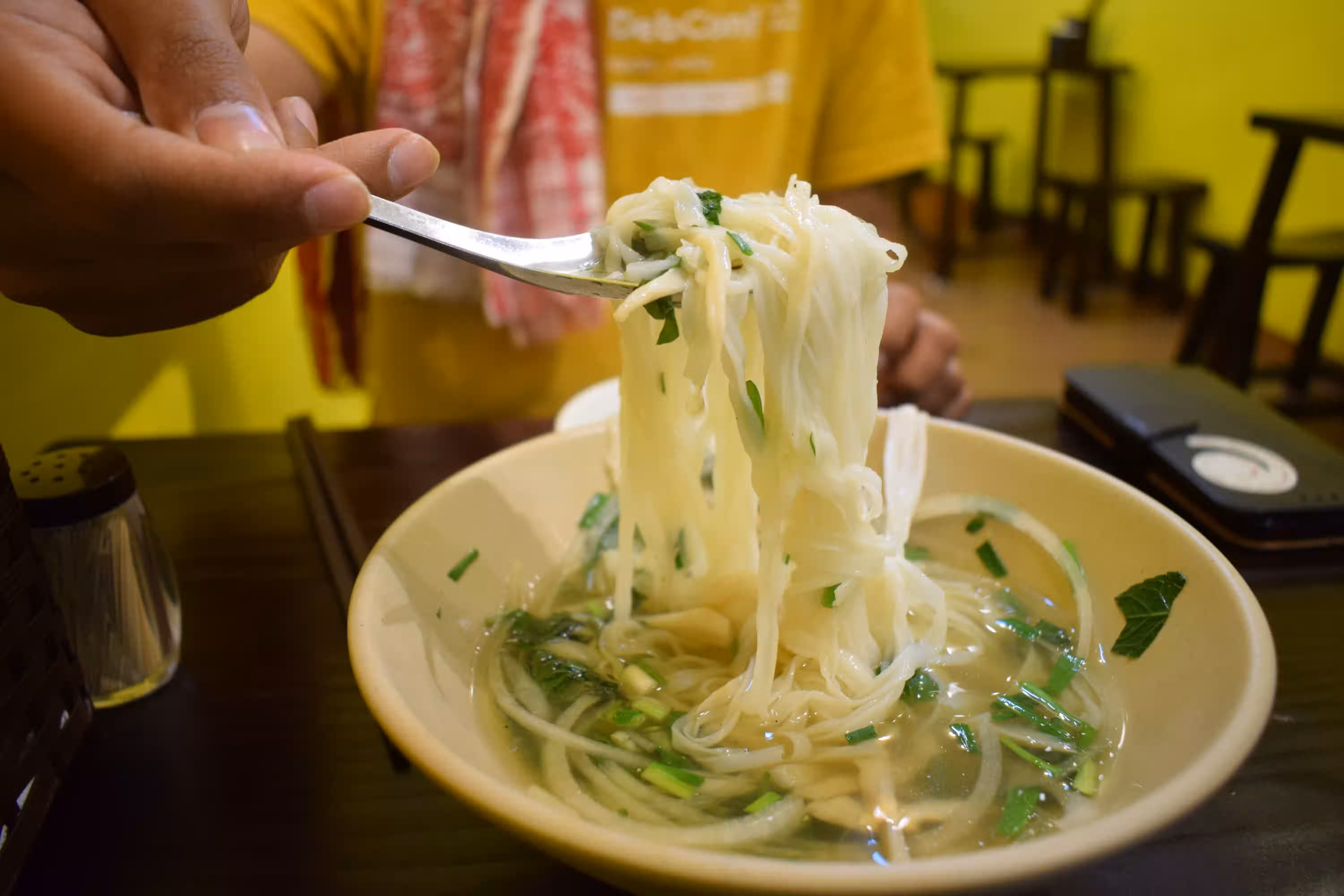 A picture of pho we had in Hanoi. Photo by Ravi Dwivedi, released under CC-BY-SA 4.0.